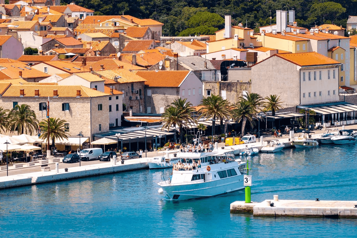 DinoBasketballCamp 2025 - Photo 65